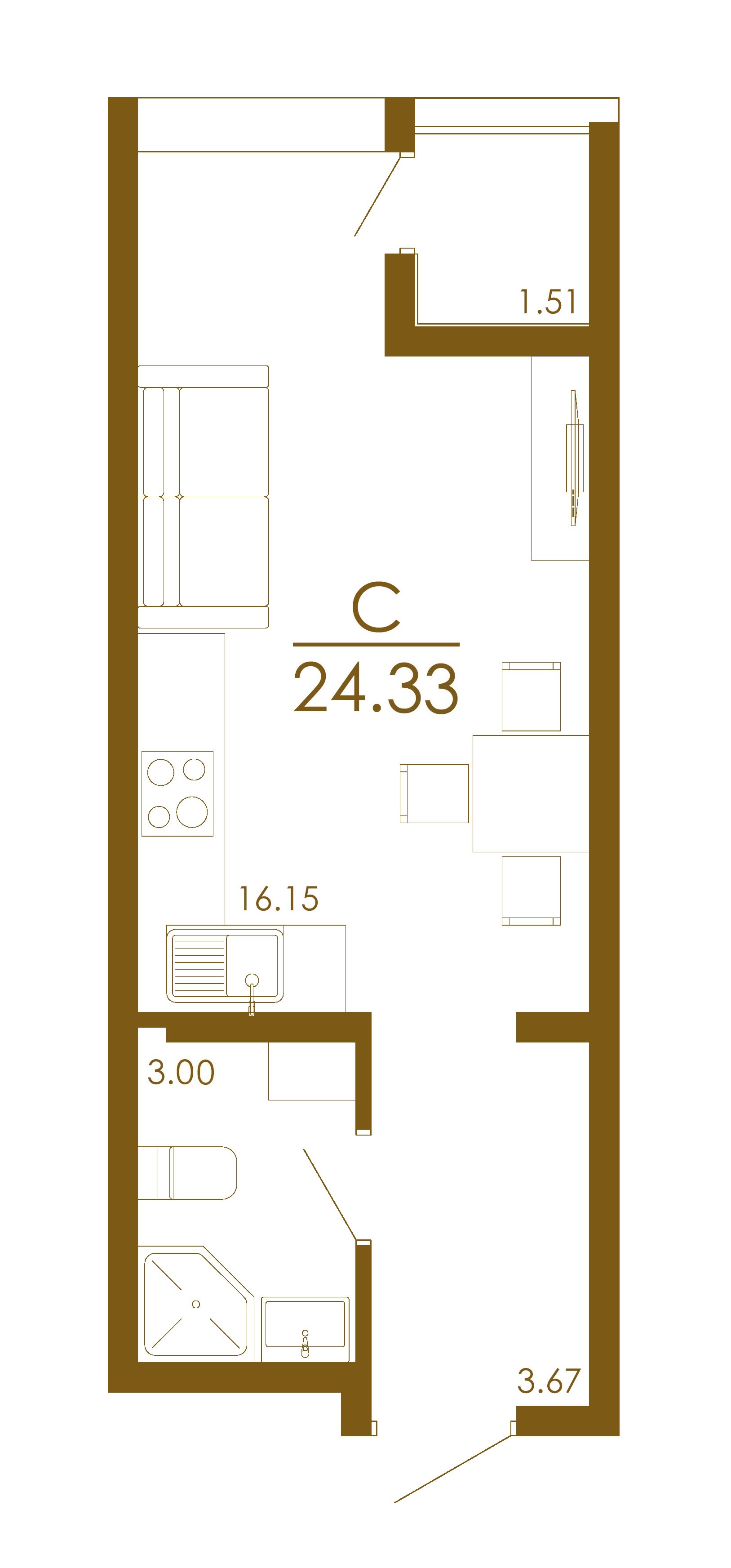 Планировка студии 24,5 м²